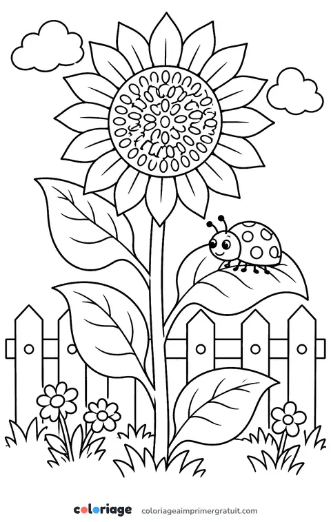 Coloriage tournesol et coccinelle