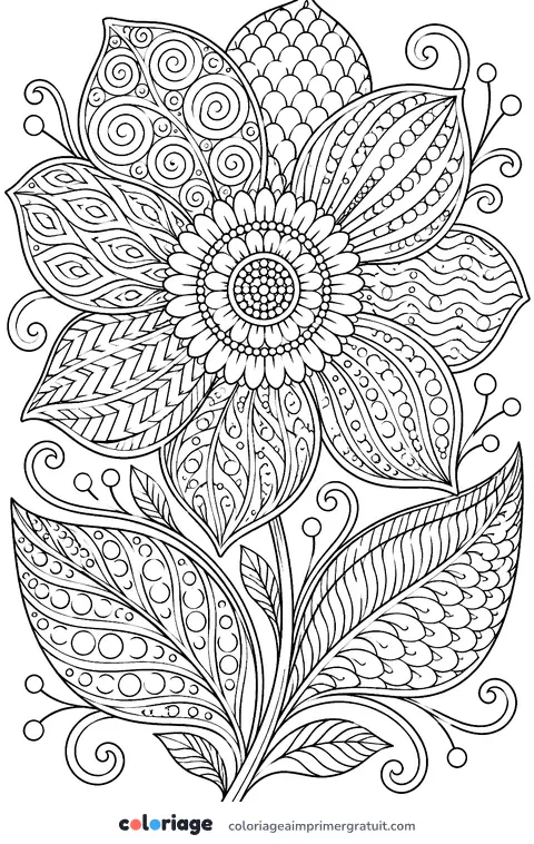 Coloriage fleur zentangle