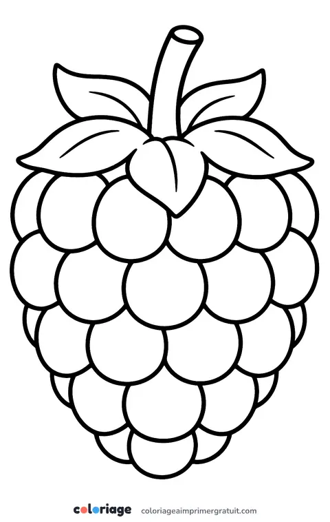 Coloriage framboise