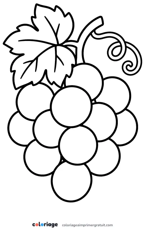 Coloriage grappe de raisin