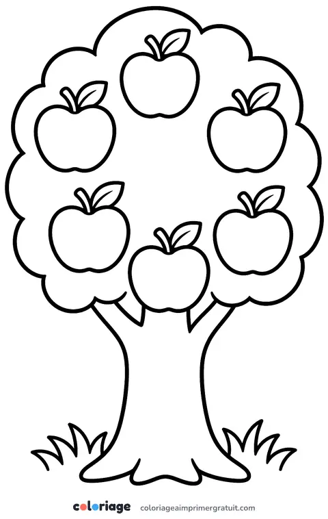 Coloriage pommier