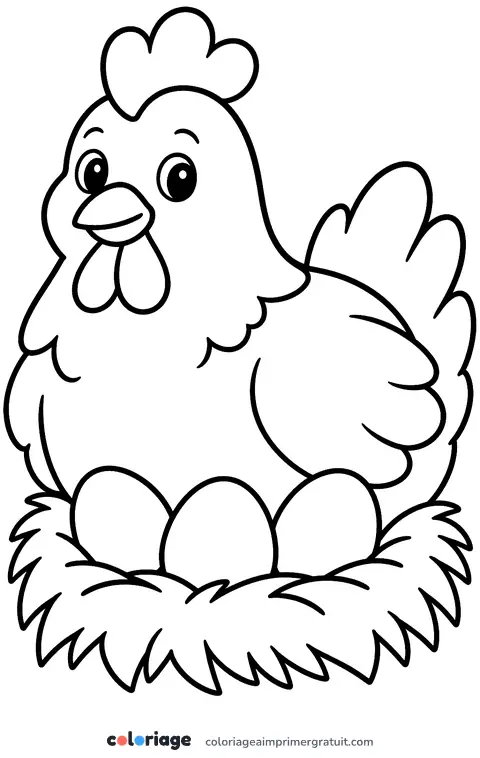 Coloriage poule sur son nid