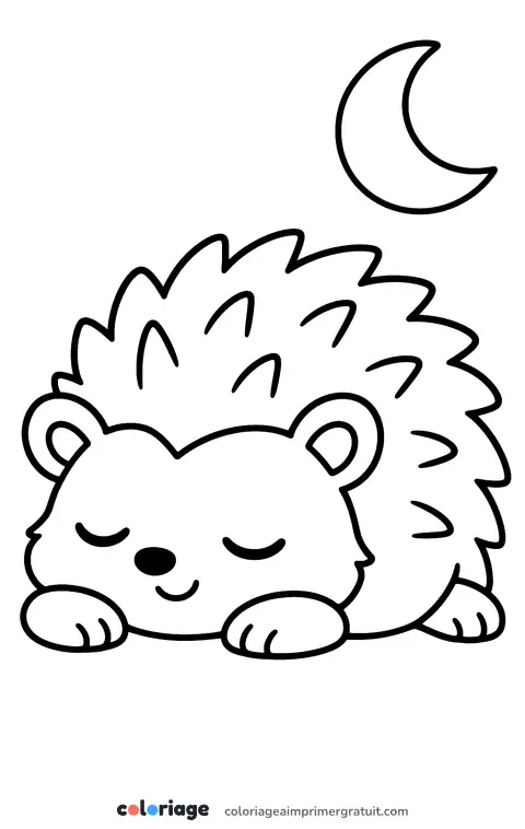 Coloriage bébé hérisson qui dort