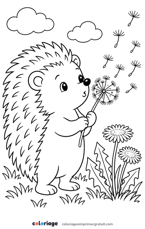 Coloriage hérisson et pissenlit