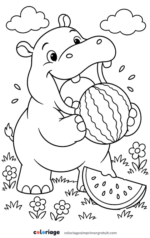 Coloriage hippopotame et sa pastèque
