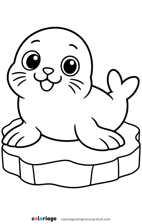 Coloriage bébé phoque