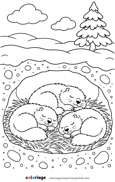 Coloriage les marmottes hibernent