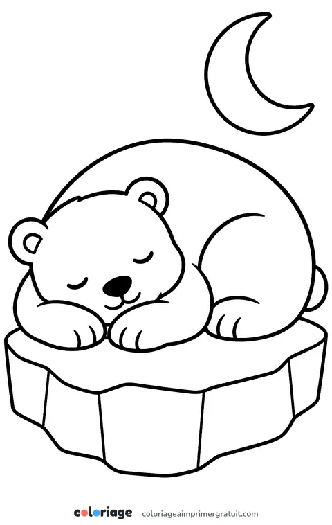 Coloriage ours polaire endormi