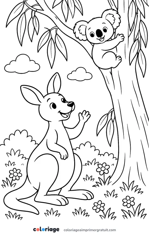 Coloriage kangourou et koala