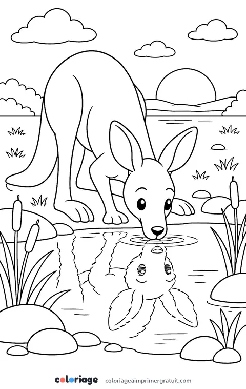Coloriage kangourou à la mare