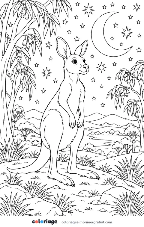 Coloriage kangourou sous les étoiles