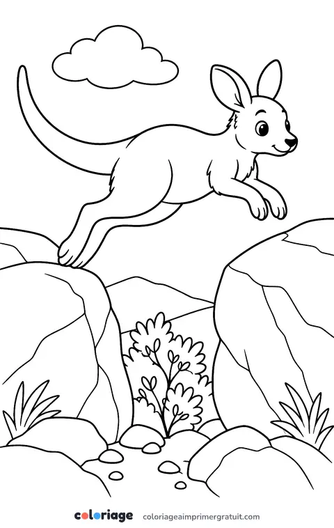 Coloriage wallaby des rochers