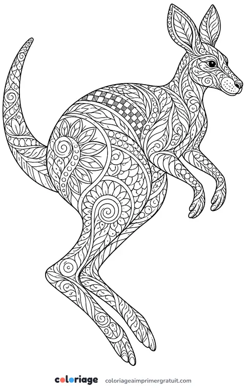Coloriage kangourou zentangle