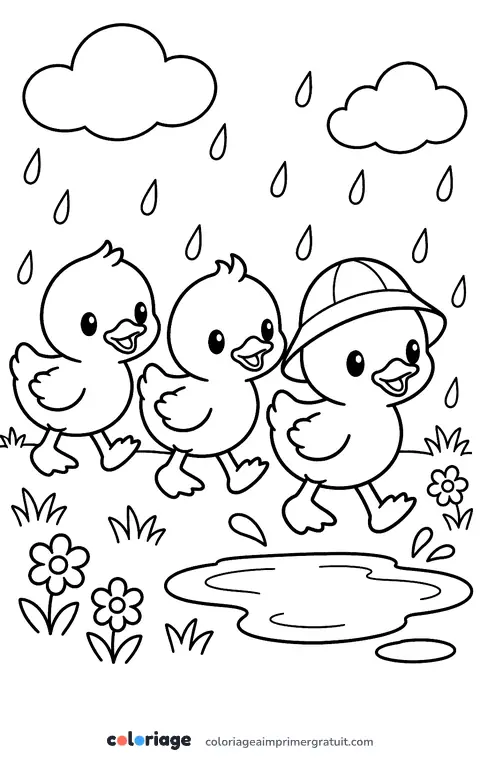 Coloriage canetons sous la pluie