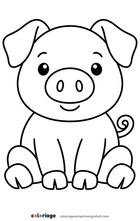 Coloriage petit cochon