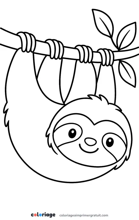 Coloriage paresseux