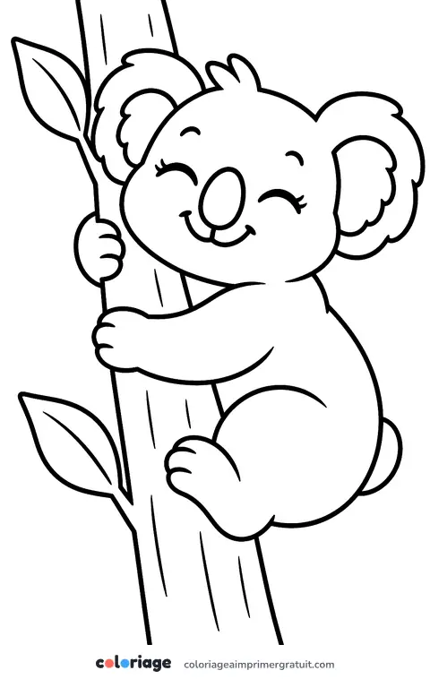 Coloriage koala qui serre son arbre