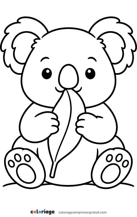 Coloriage koala qui mange une feuille
