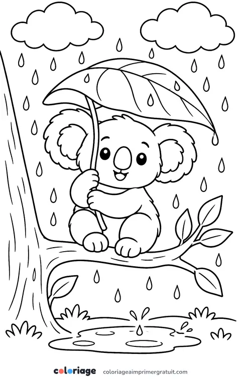 Coloriage koala sous la pluie