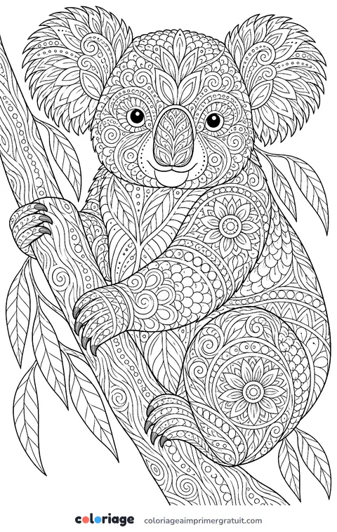 Coloriage koala zentangle