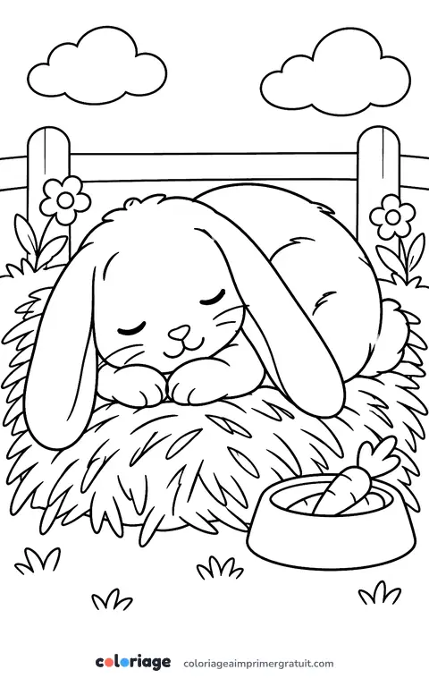 Coloriage lapin bélier endormi