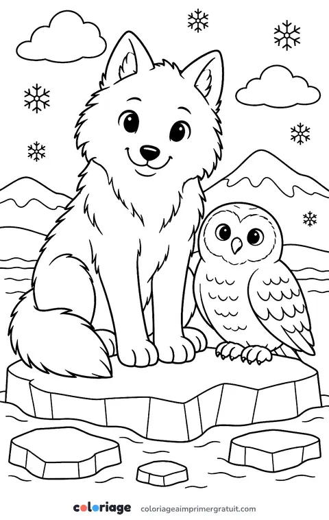 Coloriage loup arctique et harfang