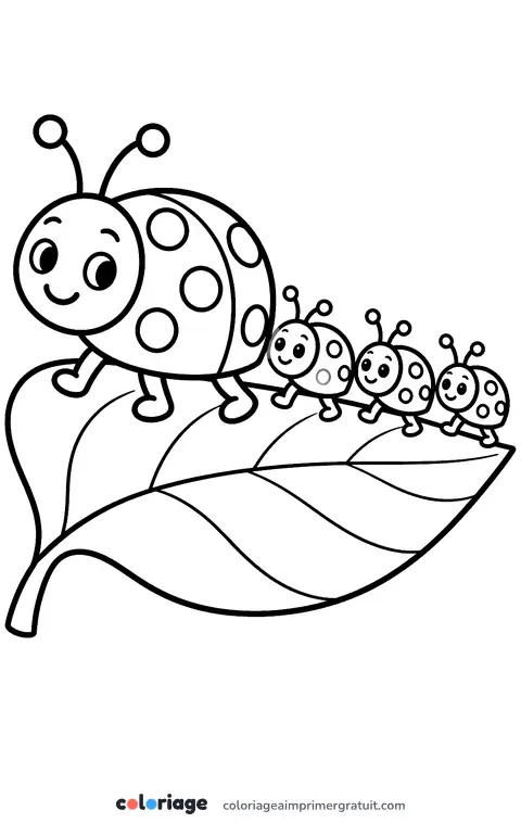 Coloriage maman coccinelle