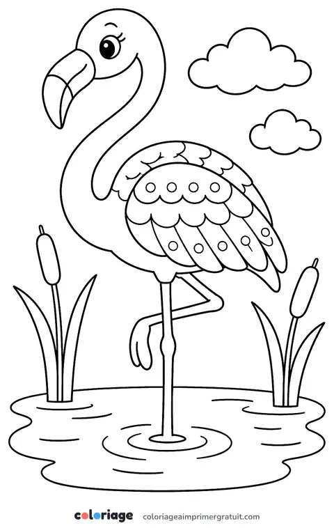 Coloriage flamant rose