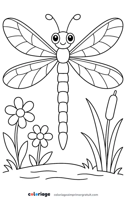 Coloriage libellule mandala