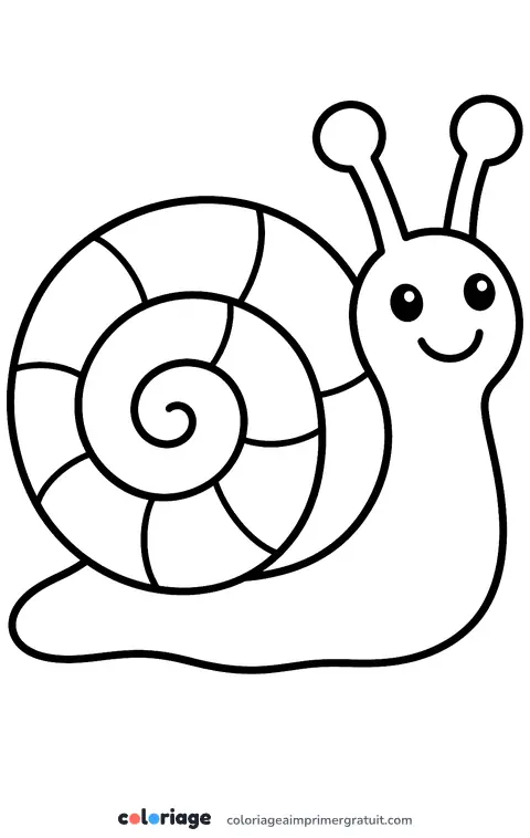 Coloriage mandala escargot