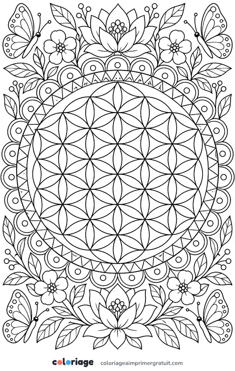 Coloriage mandala fleur de vie