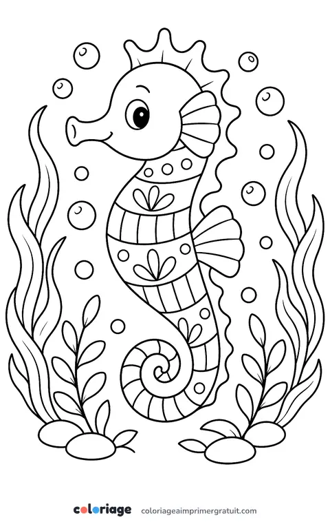 Coloriage mandala hippocampe