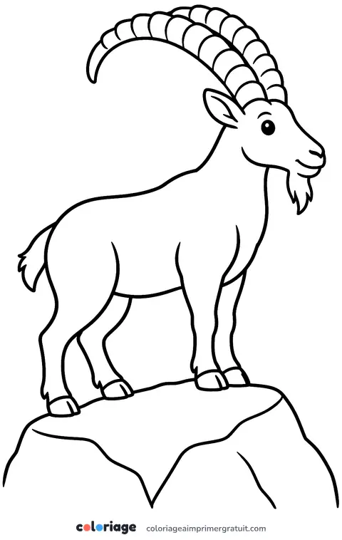 Coloriage bouquetin
