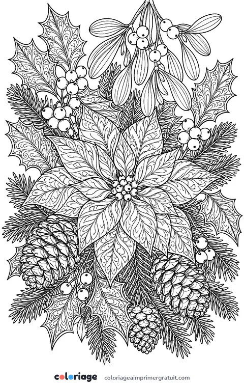 Coloriage houx, gui et pommes de pin