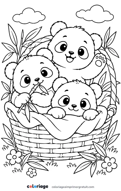 Coloriage bébés pandas dans un panier