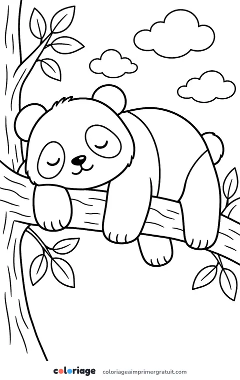 Coloriage panda qui fait la sieste