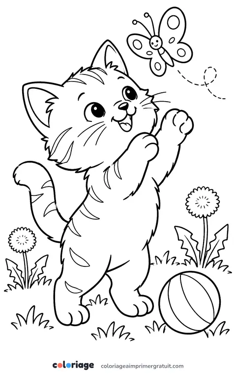 Coloriage chaton et papillon