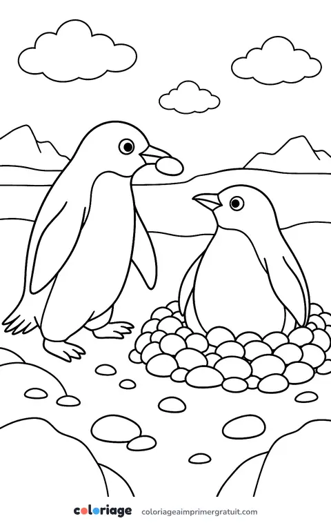 Coloriage manchot Adélie et son nid de cailloux