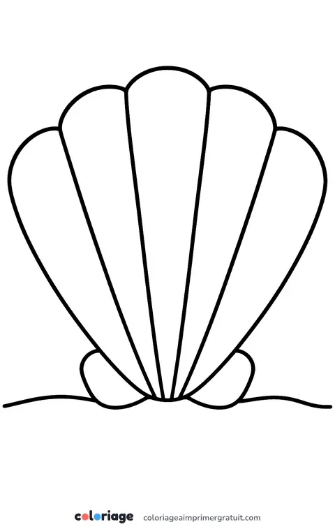 Coloriage coquille Saint-Jacques