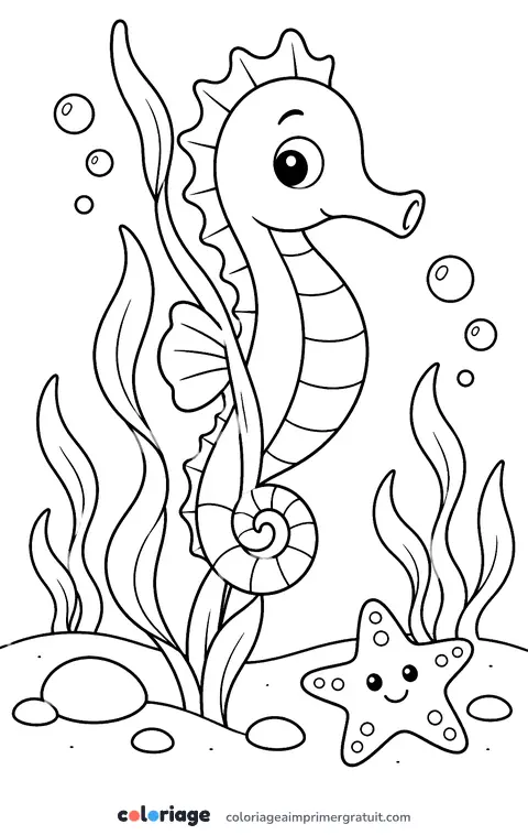 Coloriage hippocampe et algues