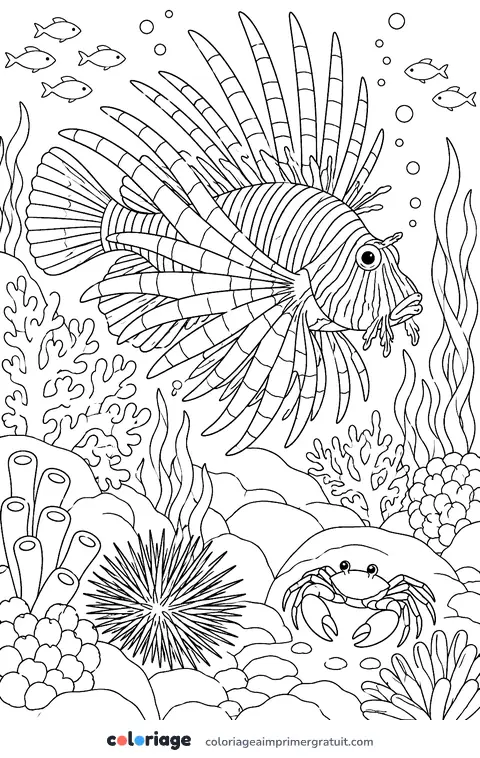Coloriage poisson-lion
