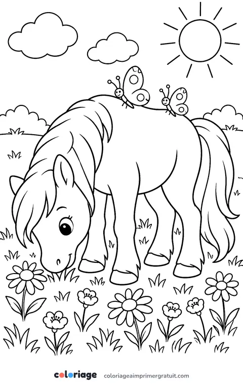 Coloriage poney qui broute