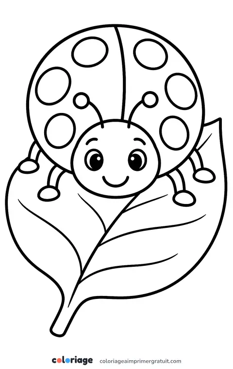 Coloriage coccinelle sur une feuille