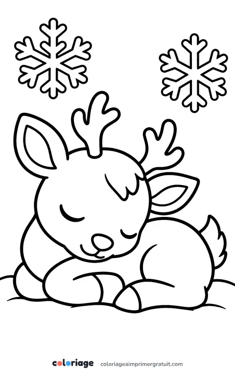 Coloriage faon renne endormi