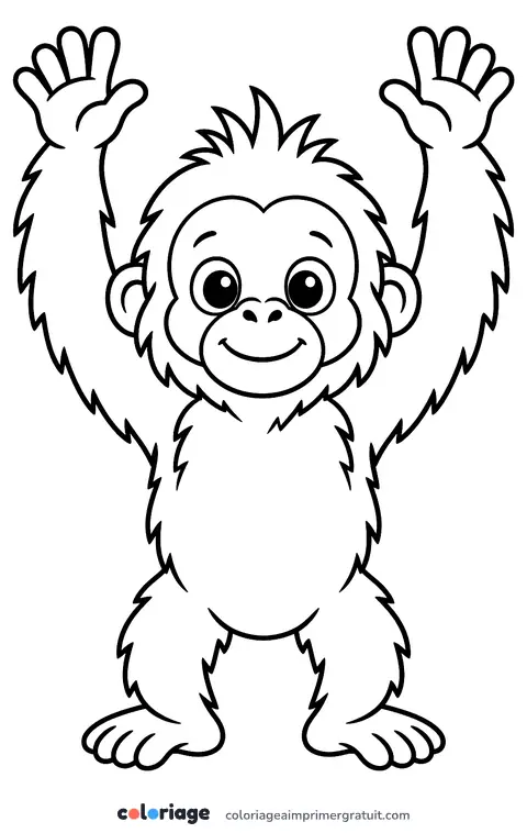 Coloriage bébé orang-outan