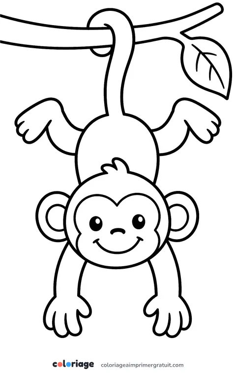 Coloriage singe suspendu par la queue