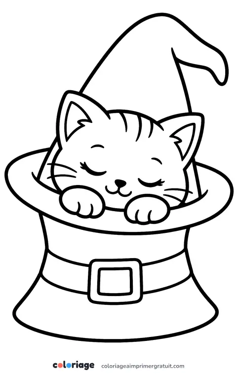 Coloriage chaton dans le chapeau