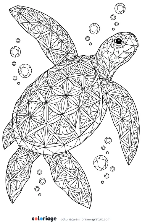 Coloriage tortue géométrique