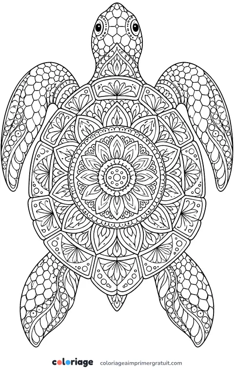 Coloriage tortue mandala