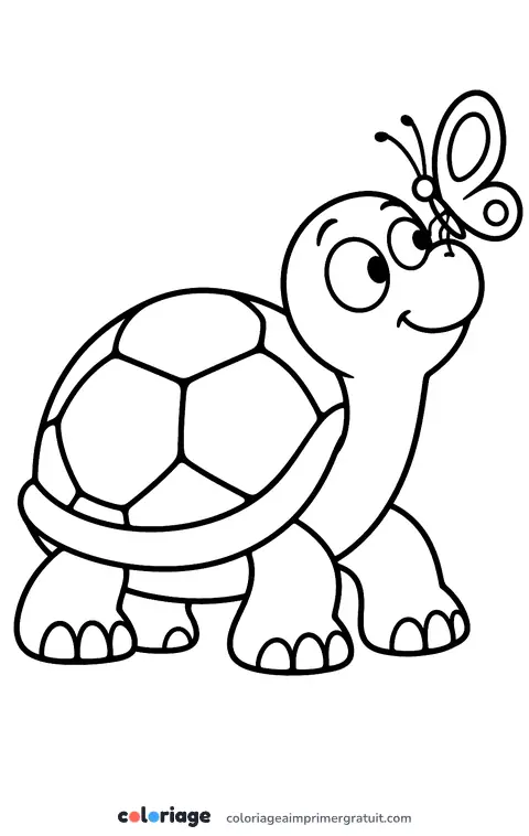 Coloriage tortue et papillon